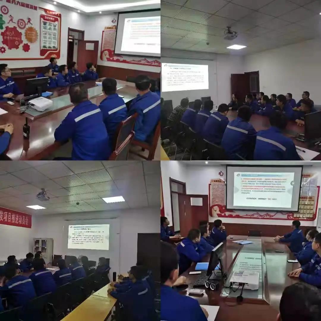 1623326419221269.jpeg 4256.jpg