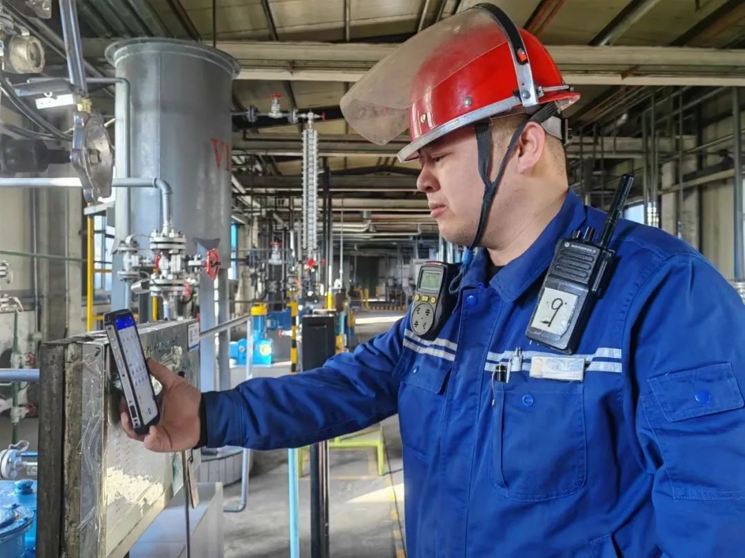 1708304554179576.jpeg 89.jpg