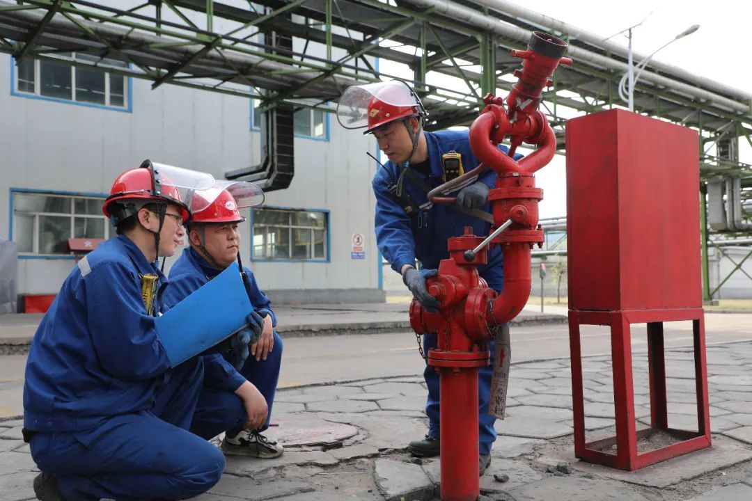 1724113118239595.jpeg 640.jpg