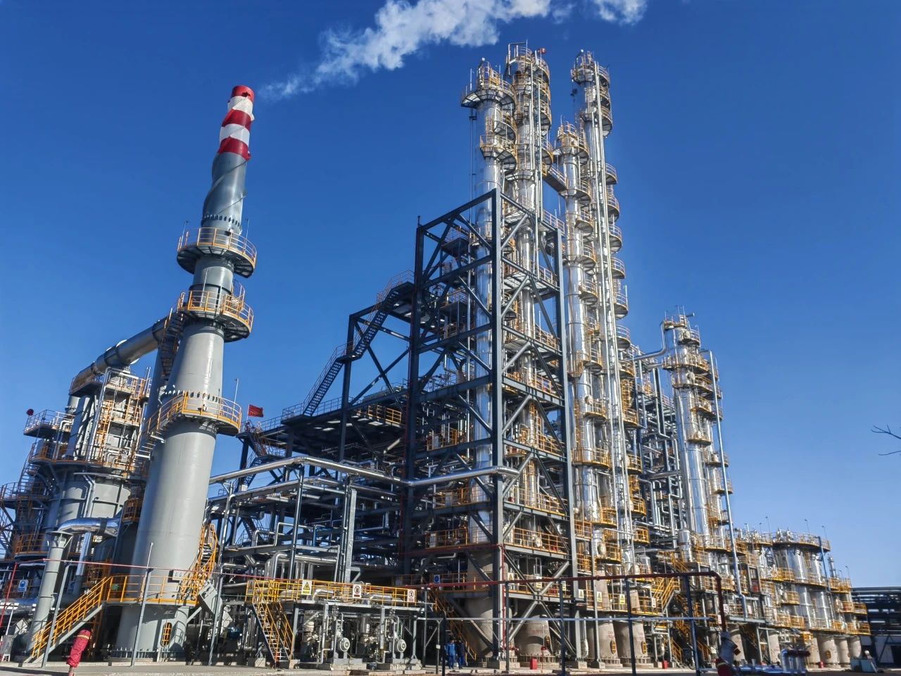 1744331242474497.jpeg 5.jpg