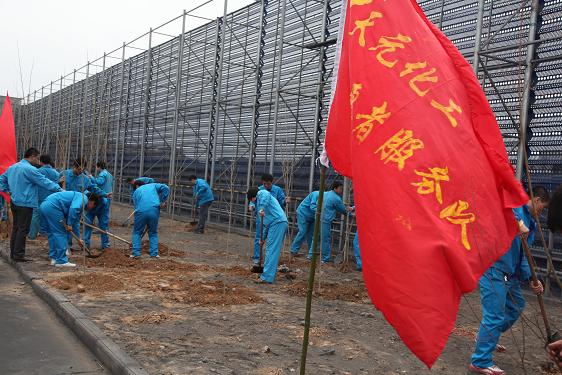 青年志愿者們正在植樹 青年志愿者們正在植樹